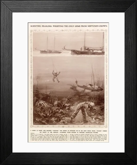 Framed Print : Divers gathering pearl-oysters in Western Australia waters. The diver in the background is being staged - a process where he is held for up to half an hour at a certain depth from the surface so that he can move vigourously in order get Framed Print : Divers gathering pearl-oysters in Western Australia waters. The diver in the background is being staged - a process where he is held for up to half an hour at a certain depth from the surface so that he can move vigourously in order get
