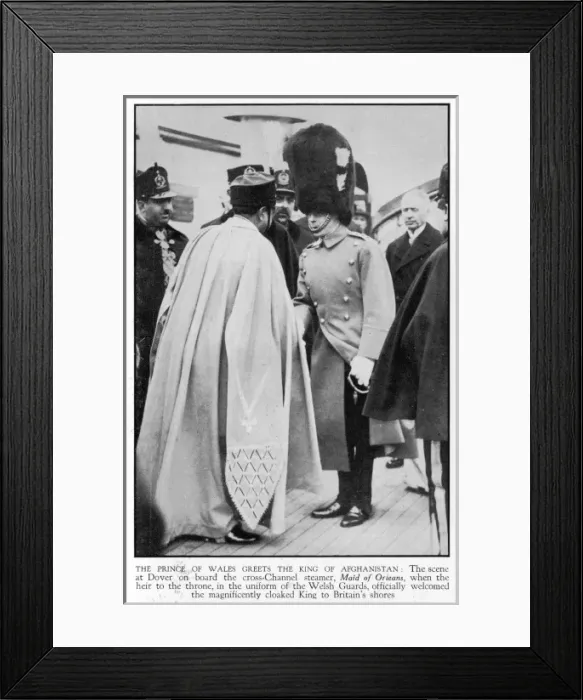 Framed Print : Prince of Wales / Ammanull Framed Print : Prince of Wales / Ammanull
