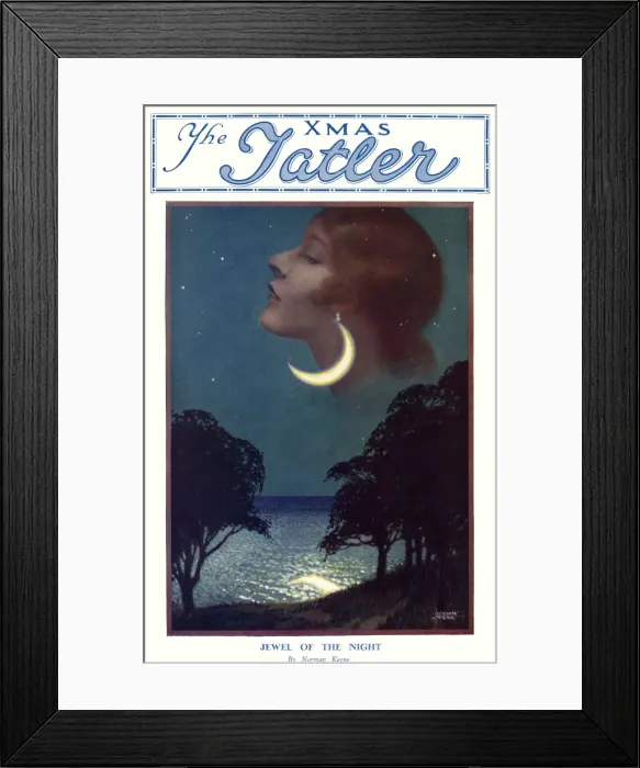 Framed Print : Jewel of the night Framed Print : Jewel of the night