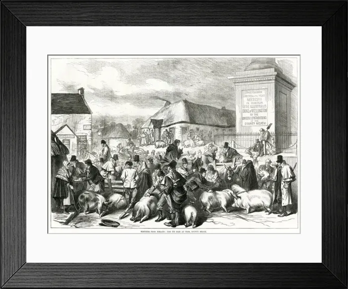 Framed Print : Ireland pig fair at Trim, County Meath 1870 Framed Print : Ireland pig fair at Trim, County Meath 1870