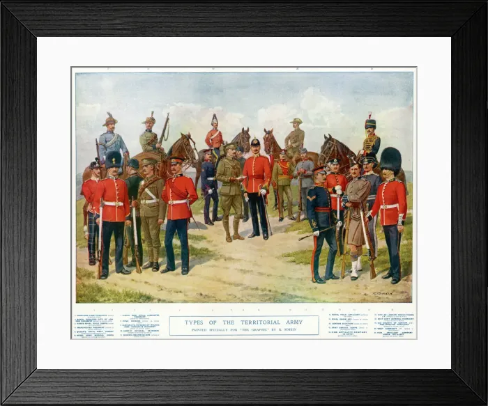 Framed Print : Types of Territorials Framed Print : Types of Territorials