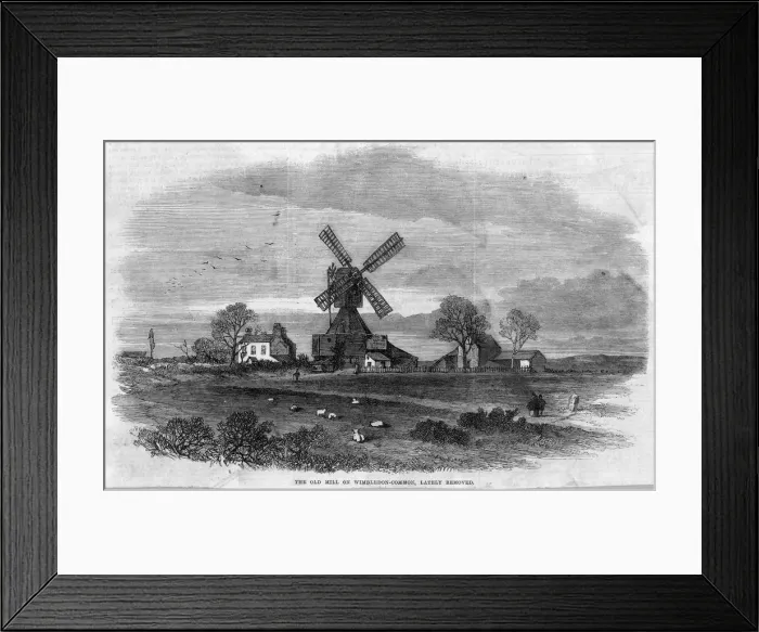 Framed Print : Wimbledon Common Framed Print : Wimbledon Common
