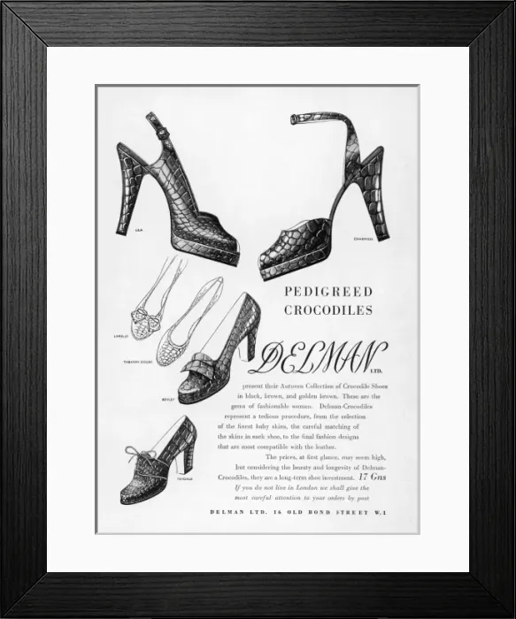 Framed Print : Delman Crocodile Shoes Framed Print : Delman Crocodile Shoes