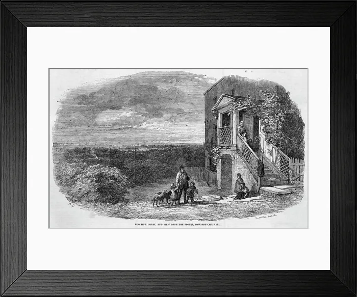 Framed Print : Hainault Forest Framed Print : Hainault Forest