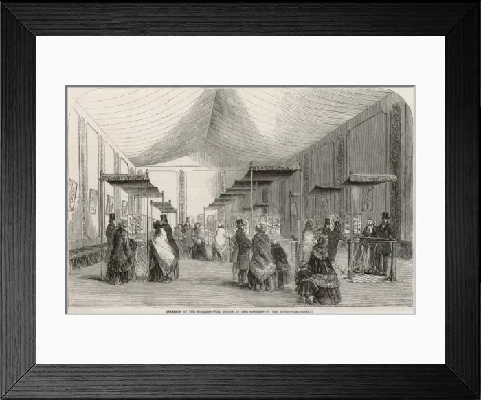 Framed Print : Humming bird house at the Zoological Society Framed Print : Humming bird house at the Zoological Society