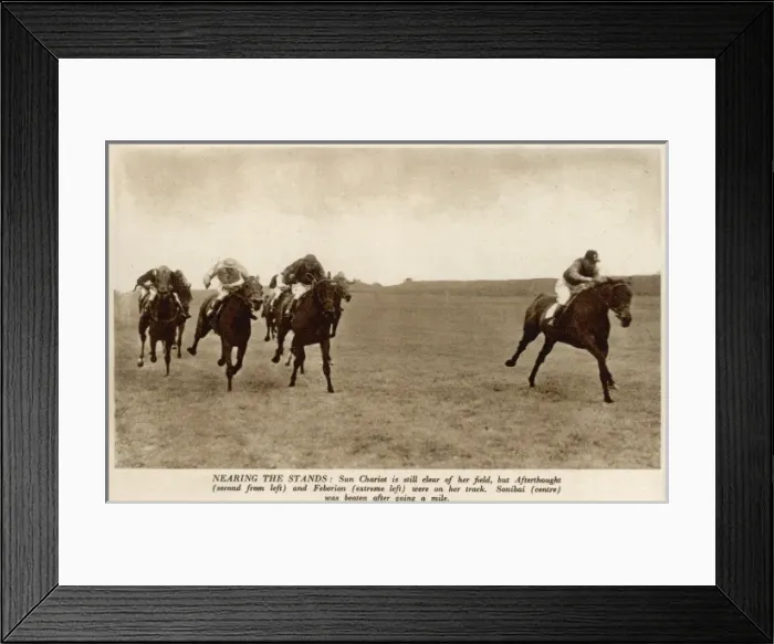 Framed Print : Horses at Newmarket Framed Print : Horses at Newmarket