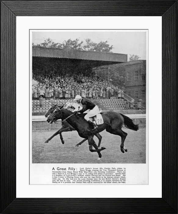 Framed Print : Garden Path winning the Two Thousand Guineas at Newmarket Framed Print : Garden Path winning the Two Thousand Guineas at Newmarket