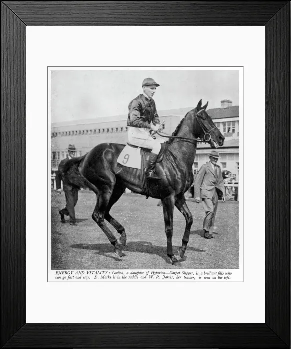 Framed Print : The racehorse Godiva in 1940 Framed Print : The racehorse Godiva in 1940