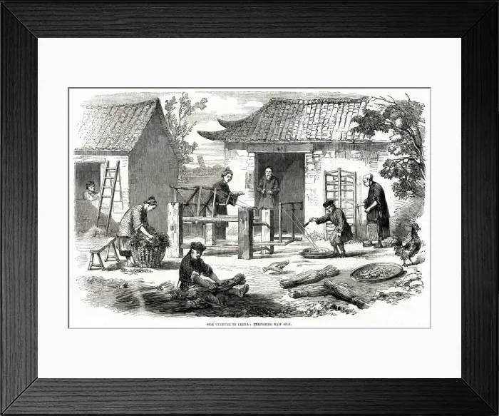 Framed Print : Silk culture in China 1857 Framed Print : Silk culture in China 1857