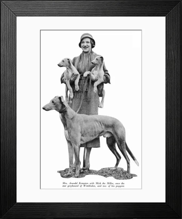 Framed Print : Mrs Arundel Kempton with Mick the Miller and Puppies Framed Print : Mrs Arundel Kempton with Mick the Miller and Puppies