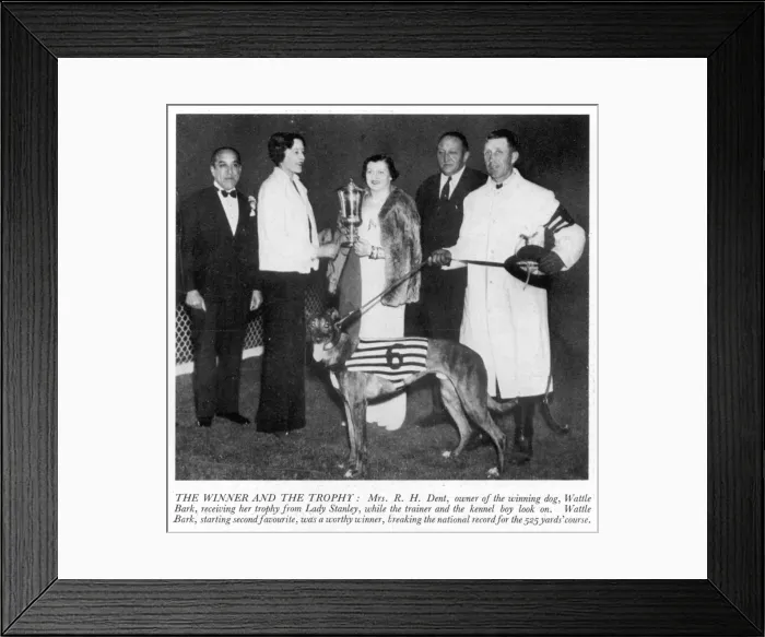 Framed Print : Mrs R. H. Dent with the Greyhound Derby trophy and Wattle Bar