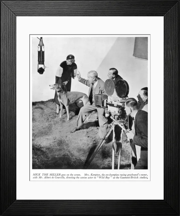 Framed Print : Mick the Miller Becomes a Film Star Framed Print : Mick the Miller Becomes a Film Star