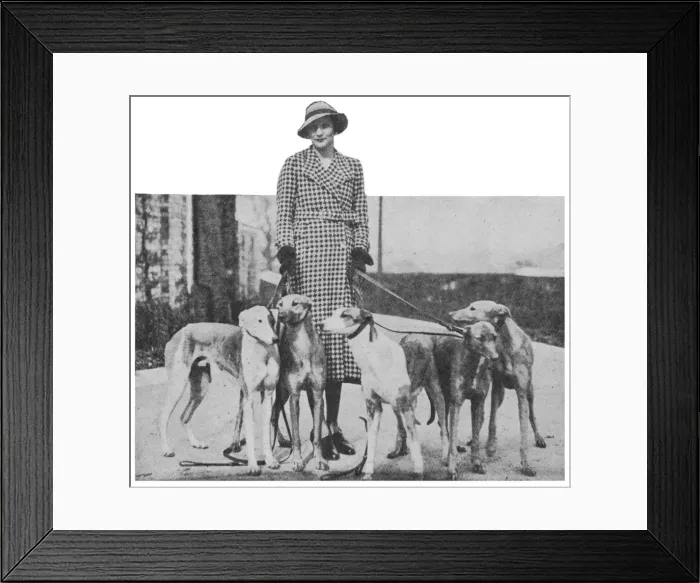 Framed Print : Lady Weymouth with her greyhounds Framed Print : Lady Weymouth with her greyhounds