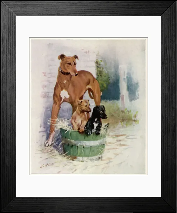 Framed Print : Greyhounds by Gilbert Holiday Framed Print : Greyhounds by Gilbert Holiday