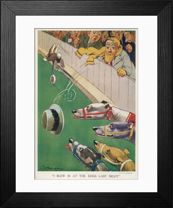 Framed Print : Greyhound Racing Framed Print : Greyhound Racing