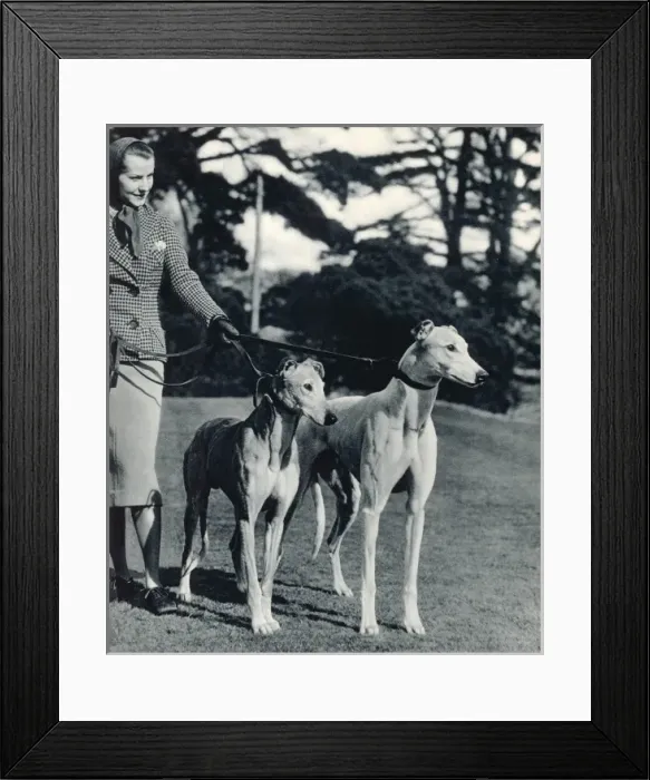 Framed Print : Lady and Greyhounds Framed Print : Lady and Greyhounds