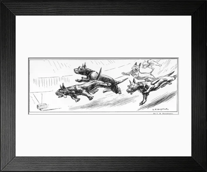 Framed Print : Aberdeen Terriers Chasing a Threepenny Bit Framed Print : Aberdeen Terriers Chasing a Threepenny Bit