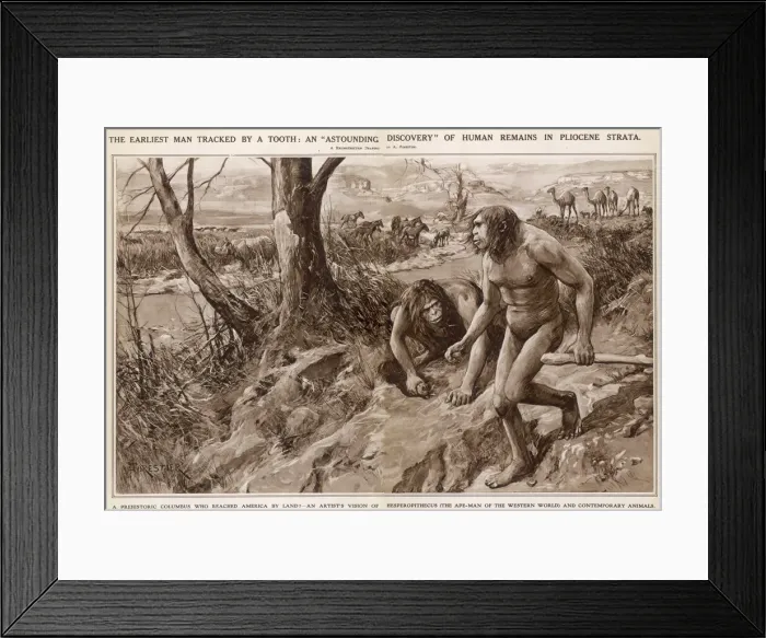 Framed Print : Nebraska Man by Amedee Forestier Framed Print : Nebraska Man by Amedee Forestier