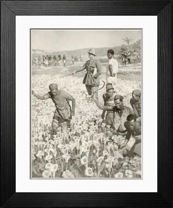 Framed Print : On the Air Route to the Cape by Fortunino Matania Framed Print : On the Air Route to the Cape by Fortunino Matania