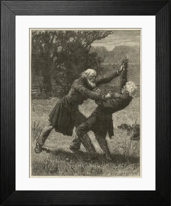 Framed Print : A fight between two elderly gentlemen ensues Framed Print : A fight between two elderly gentlemen ensues