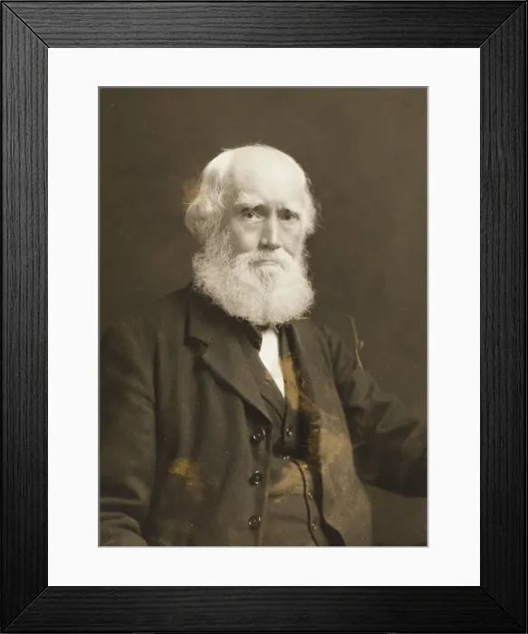 Framed Print : John Lewis, founder of the department store