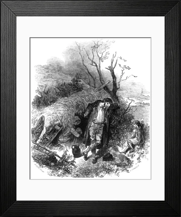 Framed Print : Events / Ireland / Evictions Framed Print : Events / Ireland / Evictions