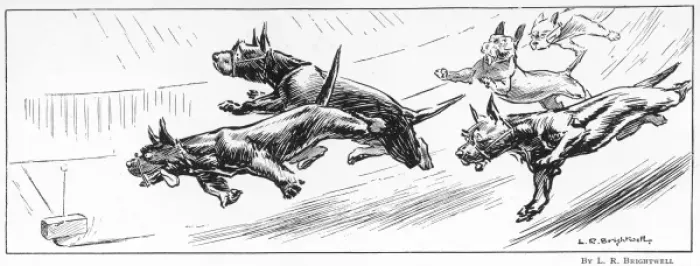 Framed Print : Aberdeen Terriers Chasing a Threepenny Bit Framed Print : Aberdeen Terriers Chasing a Threepenny Bit