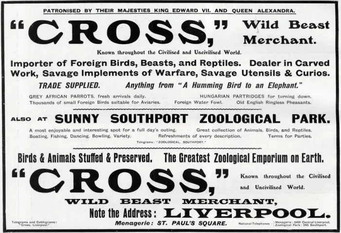 Framed Print : Advertisement for Cross - Wild Beast Merchant, Liverpool