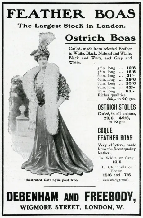 Framed Print : Advert for Debenham & Freebody feather boas 1905