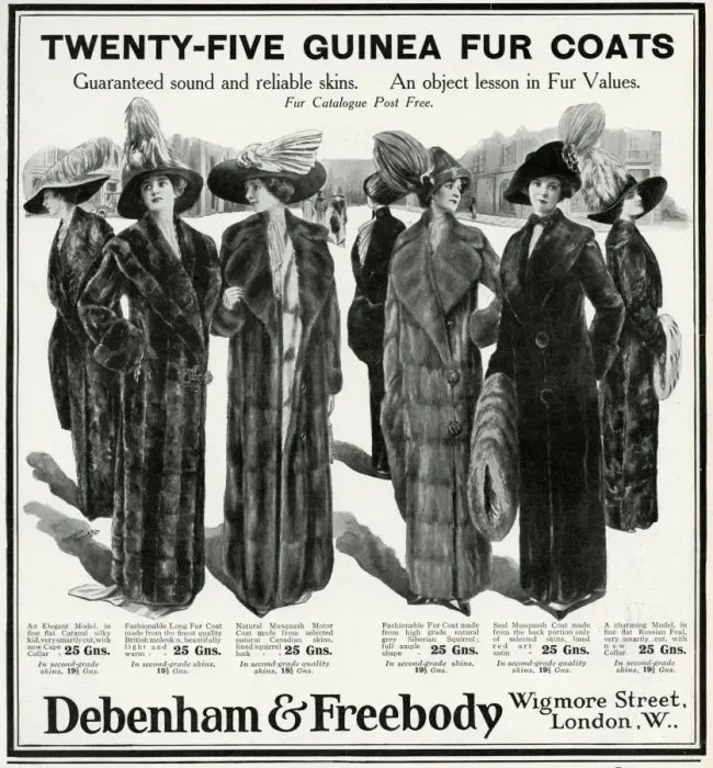 Framed Print : Advert for Debenham & Freebody womens furs 1911 Framed Print : Advert for Debenham & Freebody womens furs 1911