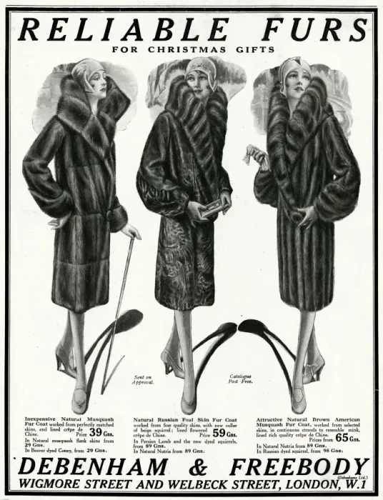 Framed Print : Advert for Debenham & Freebody womens furs 1929 Framed Print : Advert for Debenham & Freebody womens furs 1929