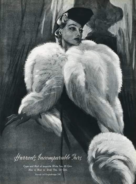Framed Print : Advert for Harrods white fox capes and muffs 1937 Framed Print : Advert for Harrods white fox capes and muffs 1937