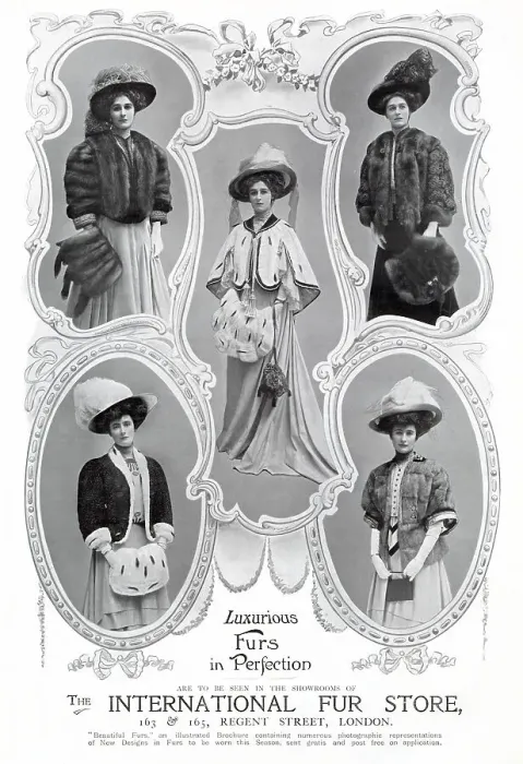 Framed Print : Advert for International Fur Store, women wearing a variety of styles of stole fur jackets. Date: 1907 Framed Print : Advert for International Fur Store, women wearing a variety of styles of stole fur jackets. Date: 1907