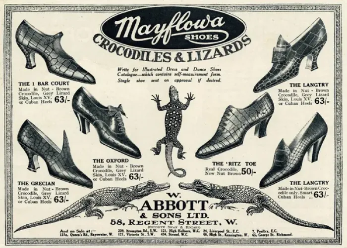 Framed Print : Advert for Mayflowa crocodile and lizard womens shoes 1923