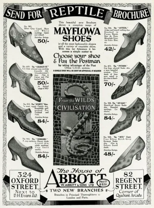 Framed Print : Advert for Mayflowa crocodile, ostrich and lizard shoes 1926 Framed Print : Advert for Mayflowa crocodile, ostrich and lizard shoes 1926