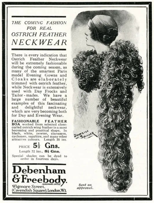 Framed Print : Advert for Peter Robinson ostrich feather neckwear 1924