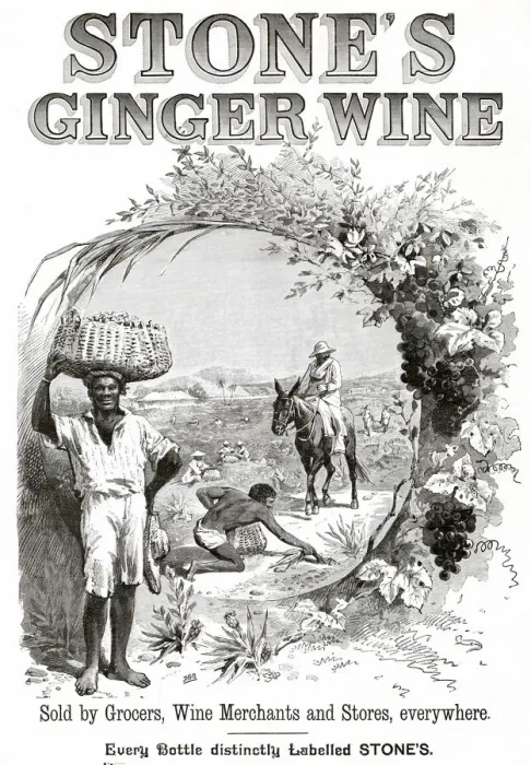 Framed Print : Advertisement for Stones Ginger Wine. Date: 1893 Framed Print : Advertisement for Stones Ginger Wine. Date: 1893