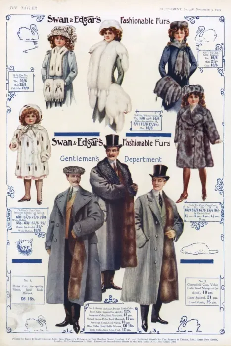 Framed Print : Advert for Swan & Edgar coats 1909 Framed Print : Advert for Swan & Edgar coats 1909
