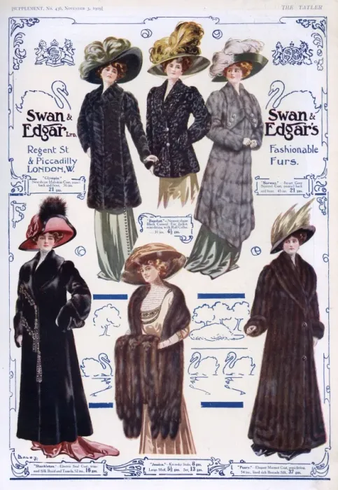 Framed Print : Advert for Swan & Edgar ladies fur coats 1909 Framed Print : Advert for Swan & Edgar ladies fur coats 1909