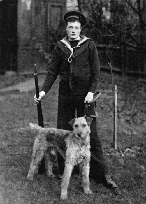 Framed Print : An Airedale sentry dog supplied to Navy by Major Richardson Framed Print : An Airedale sentry dog supplied to Navy by Major Richardson