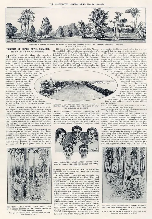 Framed Print : Alfred Hugh Fisher, Vignettes of Empire XXVIII. Singapore. The chain gamma system: tapping rubber-trees by a method invented at the economic section of the Singapore Botanical Gardens Date: 1914 Framed Print : Alfred Hugh Fisher, Vignettes of Empire XXVIII. Singapore. The chain gamma system: tapping rubber-trees by a method invented at the economic section of the Singapore Botanical Gardens Date: 1914