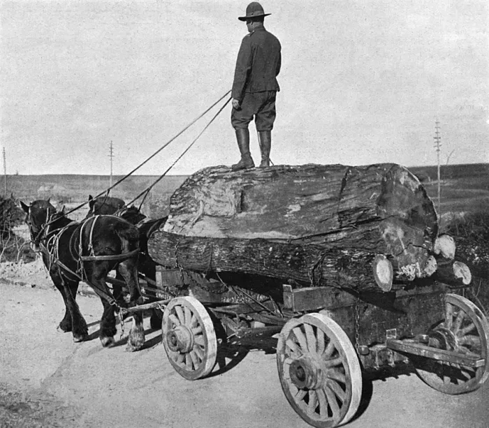 Framed Print : American lumberman on road near Western Front Framed Print : American lumberman on road near Western Front