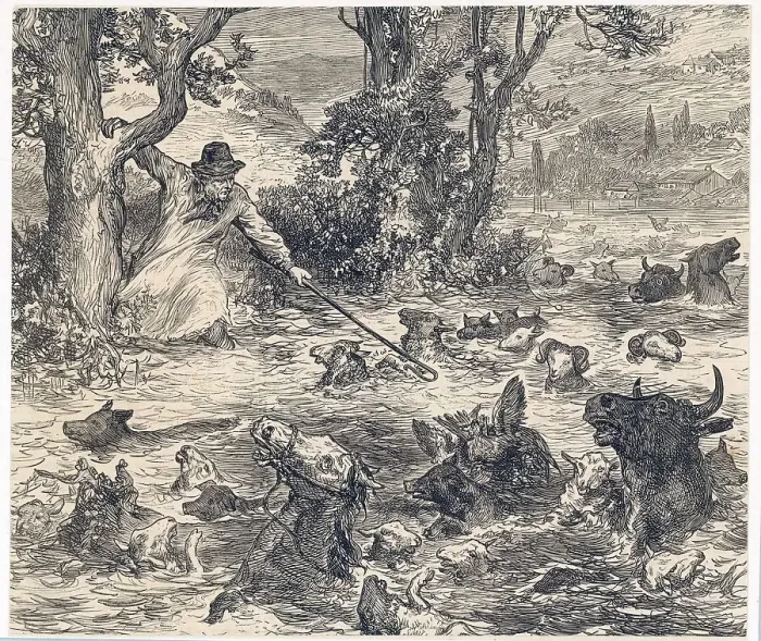 Framed Print : Animals in Flood