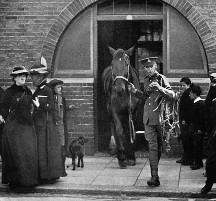 Framed Print : Army commandeering railway horses at Bexhill, WW1