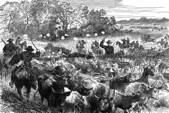 Framed Print : Basuto Gun War, 1880 - cattle recovered Framed Print : Basuto Gun War, 1880 - cattle recovered