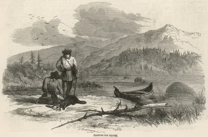 Framed Print : Beaver Hunting / America Framed Print : Beaver Hunting / America