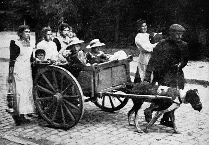Framed Print : Belgian peasant refugees