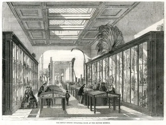 Framed Print : Botanical room, British Museum 1858 Framed Print : Botanical room, British Museum 1858