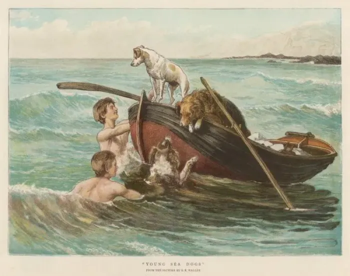 Framed Print : Boys Swim with Dogs Framed Print : Boys Swim with Dogs