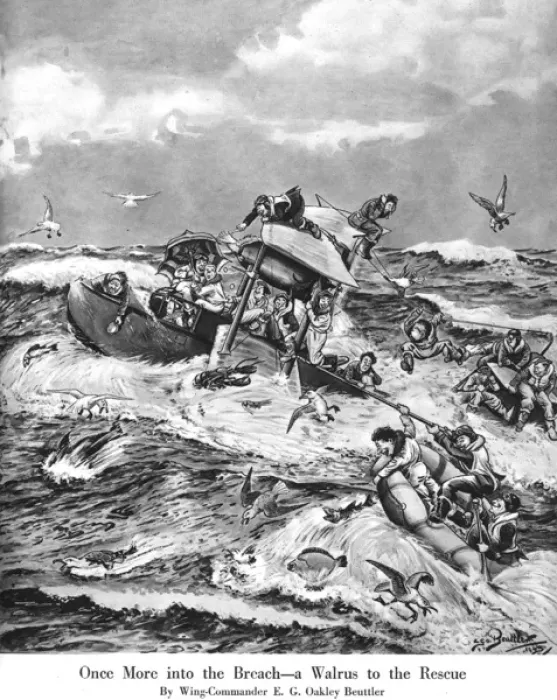 Framed Print : Once More into the Breach - a Walrus to the rescue Framed Print : Once More into the Breach - a Walrus to the rescue